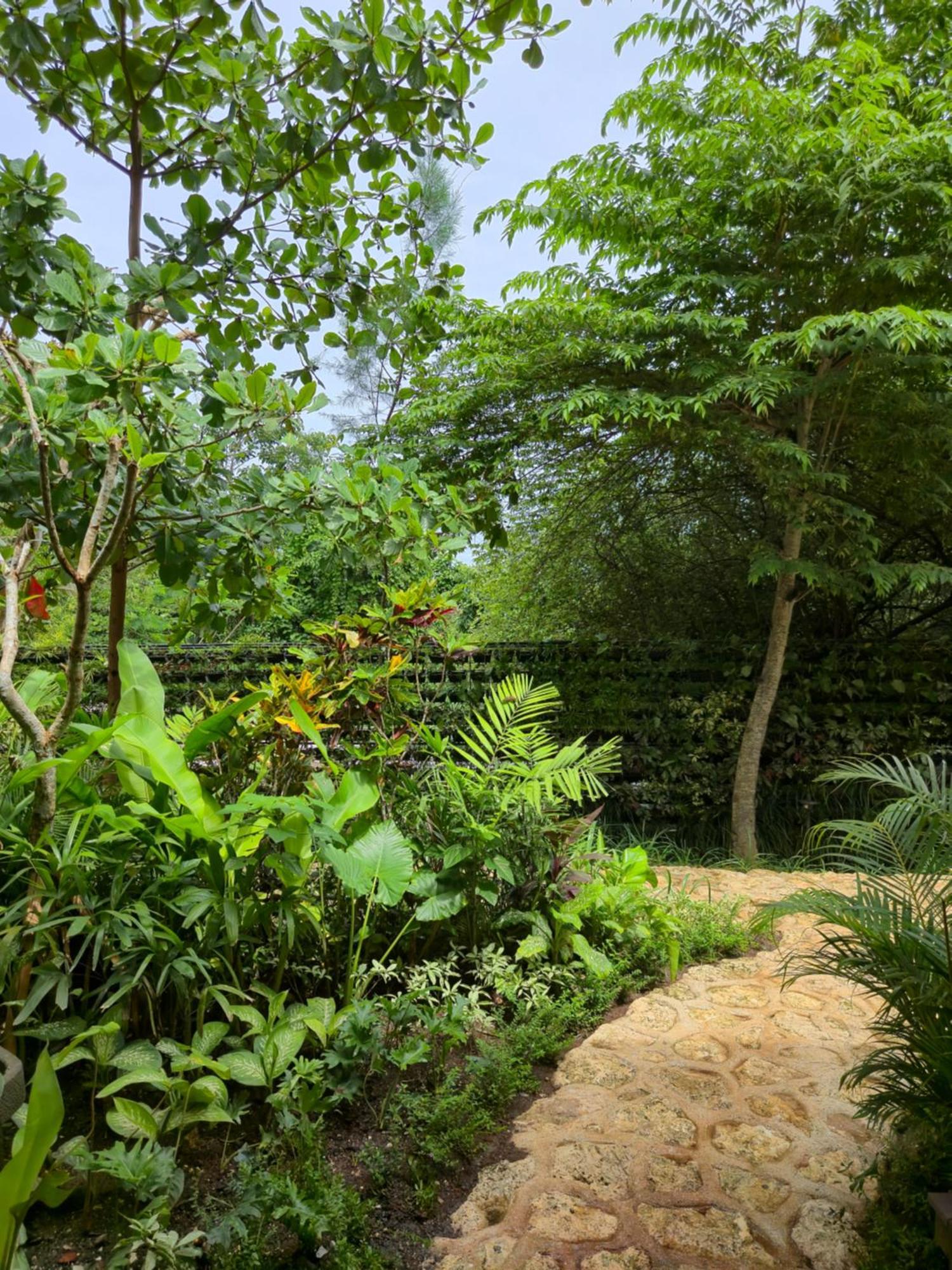 Deep Roots Dive & Yoga Resort Ped Exterior photo